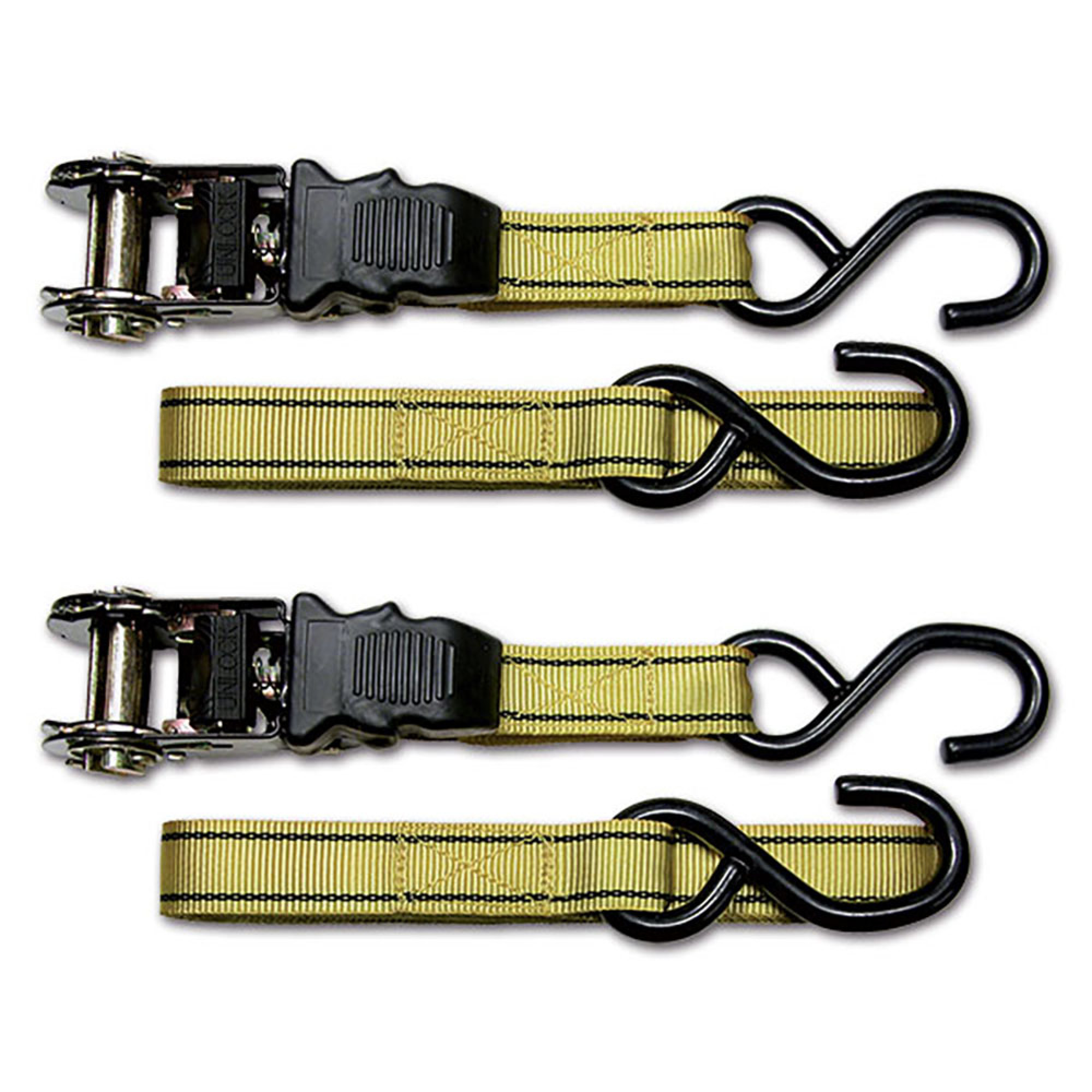 Cinghie con ganci e cricchetto - 350 Kg 1