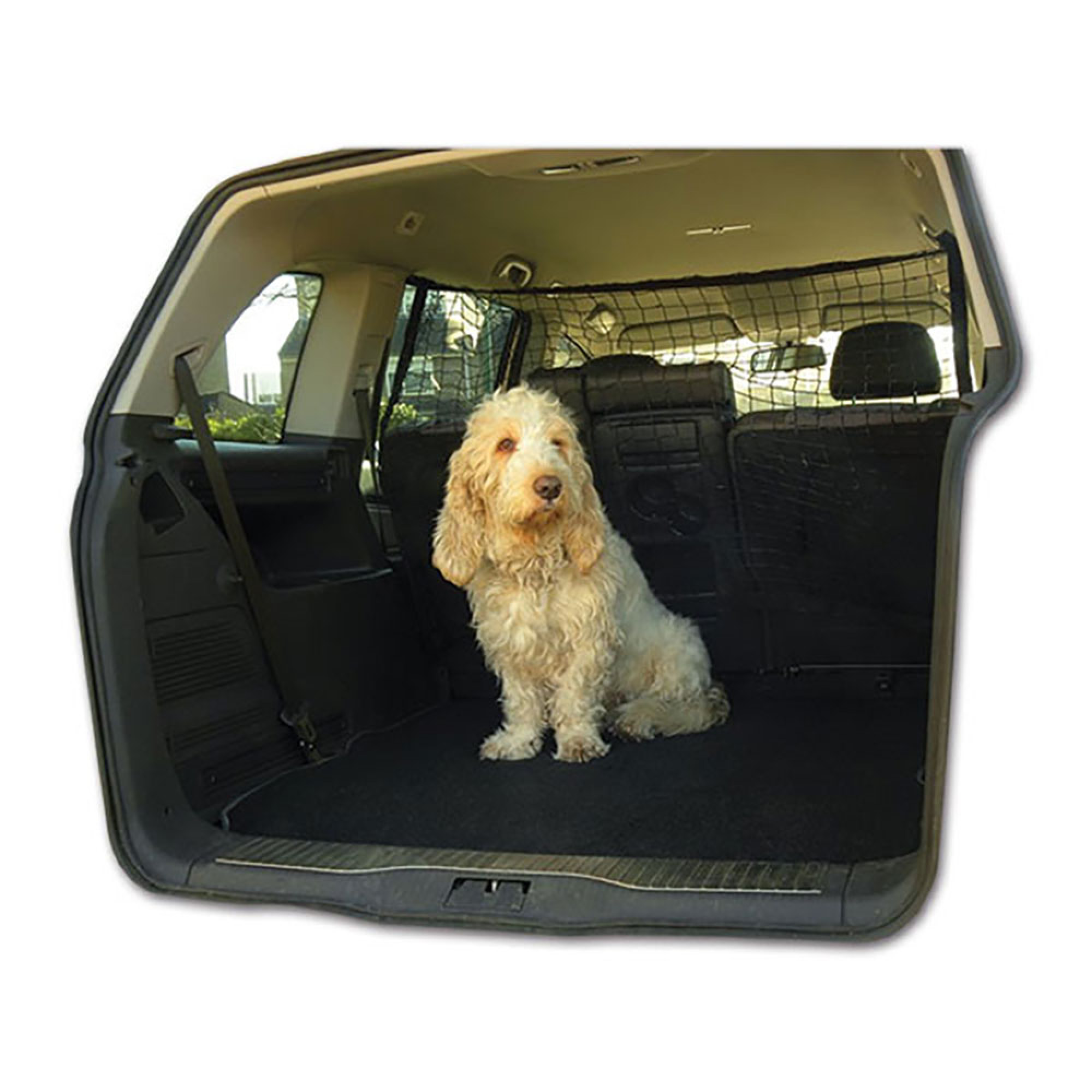 Rete elastica per trasporto cani 2