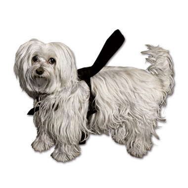 Pettorina completa per cani - taglia L